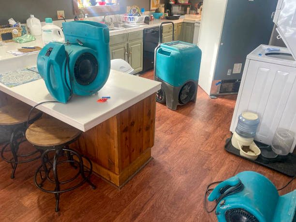 Best Professional water damage repair  in Glassport, PA