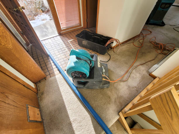 Water damage restoration mold remediation in Glassport, PA