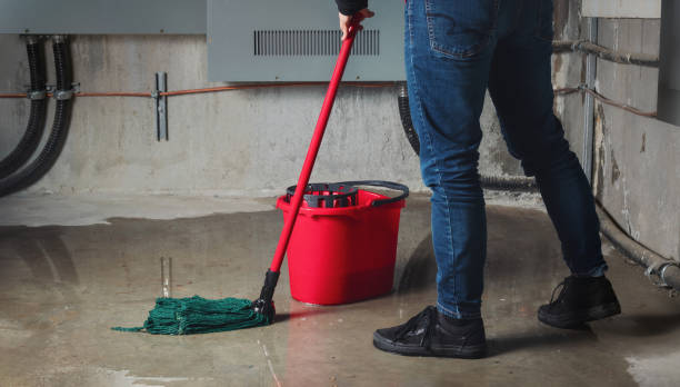 Best Flood damage cleanup  in Glassport, PA