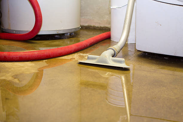 Best Carpet water damage restoration  in Glassport, PA
