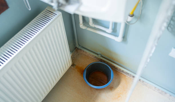 Best Flood restoration services  in Glassport, PA