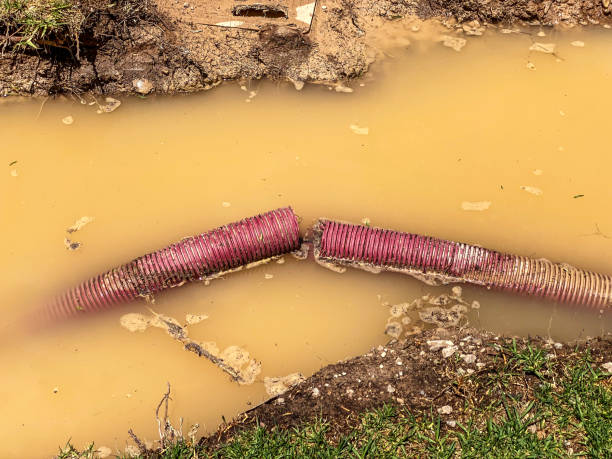 Best Water damage mitigation services  in Glassport, PA