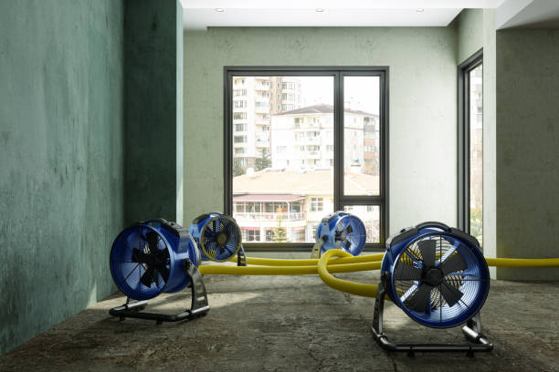 Best 24/7 water damage repair  in Glassport, PA